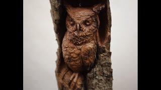 Wood Carving A Great Horned OwlAlec LaCasse [upl. by Yarled991]