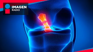 Lesión de ligamento cruzado anterior en rodilla  Bien y Saludable [upl. by Nimad]