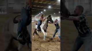 nsca omoksee horse shorts fast westernriding family horseshow western [upl. by Merrow520]