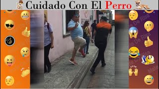 Cuidado con el Perro  Mate de Risa [upl. by Dwain431]