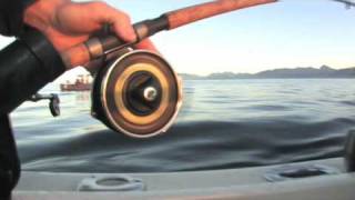 Shimano Mooching Reels [upl. by Awra]