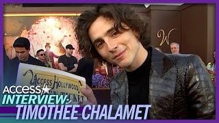 Timothée Chalamet Breaks Down His ChocolateInspired Look [upl. by Amorete616]