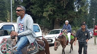 Beautiful kashmir amp one of the top tourist place doodhpathri visit a day enjoy valley [upl. by Kcirneh]