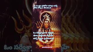 Powerful rudhra mantram devotional కార్తీకమాసం2024 [upl. by Hay]