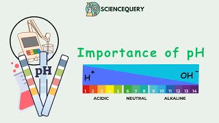 Importance of pH [upl. by Atiner]