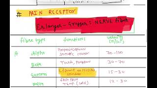 NEUROPHYSIO SENSORY RECEPTOR  ERLANGER GRASSER NERVE CLASSIFICATION MUST DO TOPICS neetpg2025 [upl. by Janey]