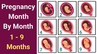 Pregnancy Journey Month By Month  Fetal Development Month By Month  pregnancymonthbymonth [upl. by Adleremse728]