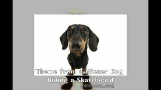 「♡Theme from a Wiener Dog Riding a Skateboard 🛹♡」 1hour [upl. by Lodge]