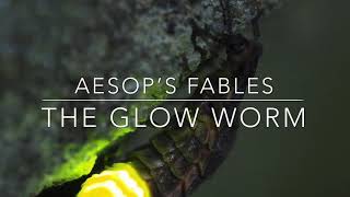 Aesop’s Fables The Glow Worm [upl. by Ojillib]