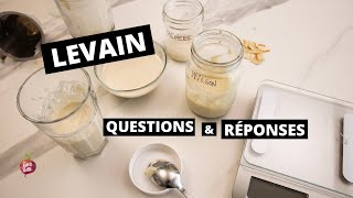 LEVAIN  QUESTIONS amp RÉPONSES 🥖 Levain  Pain Quoi Comment Recettes Tuto La petite bette [upl. by Ecal]