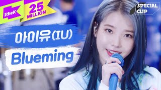 IU아이유 Blueming블루밍 라이브🎤🎤밴드ver  가사  스페셜클립  Special Clip  LYRICS 4K [upl. by Euqnom139]