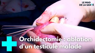 Orchidectomie  une opération pour retirer le testicule malade  Le Magazine de la Santé [upl. by Memberg]