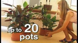 Automatic Plant Watering For Houseplants [upl. by Akirehs]