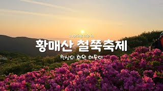 황매산 철쭉축제 지금이 절정 입니다 5월에 가볼만한곳 합천여행 산청여행 [upl. by Lindner]