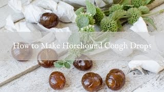 How to Make Horehound Cough Drops [upl. by Alim]