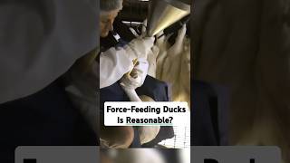 New York Governor Supports ForceFeeding [upl. by Erdei]