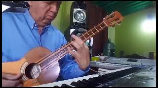 Instrumental de Salón Joropo Aragueño Versión Pop Joropo Cuatrista Julio Flores [upl. by Sanoj]