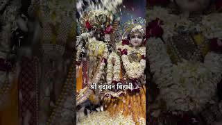 Phoolon Me Saj Rahe Hai Shri Vrindavan Bihari Mere Banke Bihari Laal youtubeshorts shorts bhakti [upl. by Lonnie41]