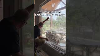 How to install window film for privacy [upl. by Eetnuahs]