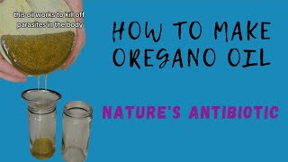 A Natural Antibiotic How to make Oregano Oil [upl. by Alatea]