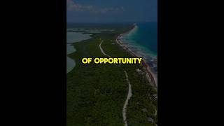 Indecision kills opportunity motivation lawaofattraction psychology facts [upl. by Galatea104]