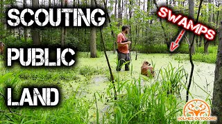 Scouting Michigan Public Land  Swamp Edition [upl. by Kilan]