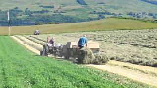 David Brown baling with Claas Markant 60 part 4 [upl. by Boyse]