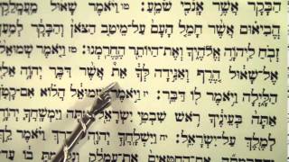 Haftorah Haftarah Reading for Parsha Zachor Amalek before Purim הפטרת זכור קריאה לפני פורים [upl. by Eniar]