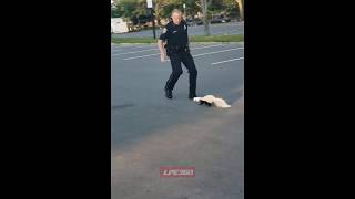 Skunk sprays police officer [upl. by Anniala143]