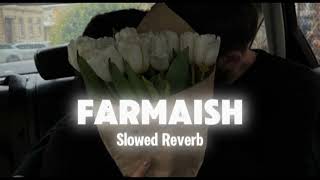 Farmaish Slowed Reverb  Permieh Verma  Oo Noor Hai Allah Da [upl. by Rayle941]