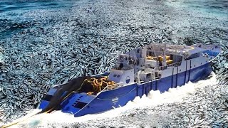 Unbelievable Hauls Fishermen Use Purse Seines to Capture Hundreds of Tons of Fish At Sea [upl. by Evannia626]