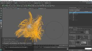 Ornatrix Maya Export XGen simulation to Ornatrix [upl. by Sulohcin]