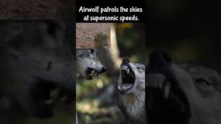 Wolf vs Airwolf absurdcomedywolf airwolf bbc planetearth wolves nature chopper 80s mrwolf [upl. by Meilen962]