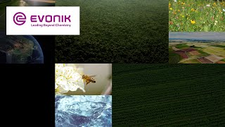 Saving Land  Evonik [upl. by Nadda]