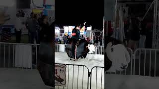 Kids First Attempt Fail in Bull Ride Machine in Florida Fair 2024 shorts [upl. by Beck]