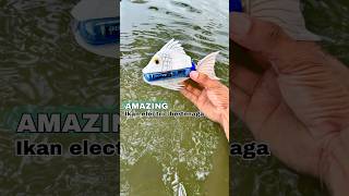 Diy kreatif ikan elektrik barang bekas  Electric powered fish diy creative tutorial toys toy [upl. by Steddman]