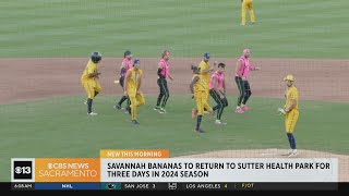 Savannah Bananas to return to Sutter Health Park in 2024 [upl. by Annia449]