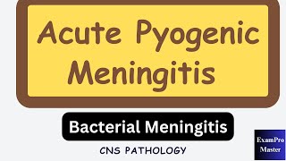 Bacterial Meningitis  Acute Pyogenic Meningitis  CNS Pathology [upl. by Menzies649]