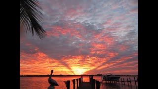 Siesta Key Live  Relaxing Sounds of Calm Waves and Island Life [upl. by Leahcimluap954]