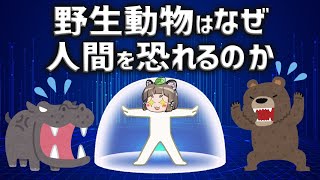 【疑問】人間はなぜ野生動物に襲われにくいのか？ [upl. by Nahc]