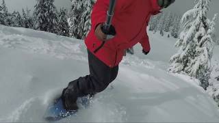 Lib Technologies Travis Rice Orca Snowboard Review [upl. by Grissel]