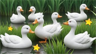 BEBEK  BEBEK BERENANG YANG BANYAK  LAGU BEBEK INDONESIA  BEBEK LUCU KETAWA  DUCK CHICKS SWIMMING [upl. by Bo]