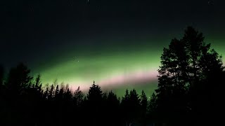 Northern lights 💚 in Bispgården Jämtland Sweden [upl. by Learrsi]