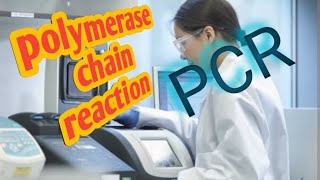 process of polymerase chain reactionbiochemistry pcr method science icmr  CSIR [upl. by Zaneta683]