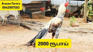 2000 ரூபாய் மற்றும் 2700 ரூபாய் விலையில் இரண்டு பட்டாக்கள் [upl. by Awjan]