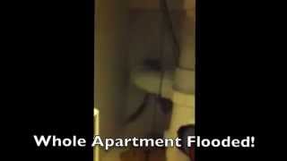 Melbourne Plumber Flooded House [upl. by Ynnavoig]