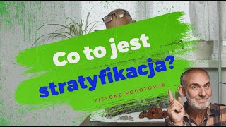 Co to jest stratyfikacja nasion [upl. by Micaela]