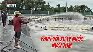 Xử lý nước nuôi tôm ao bạt bờ đáy lưới [upl. by Nnav]