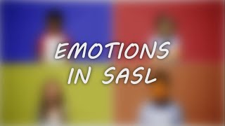 Emotions in SASL [upl. by Bocoj41]