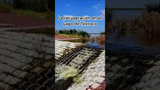 La recuperación del Lago de Texcoco naturaleza [upl. by Spooner]